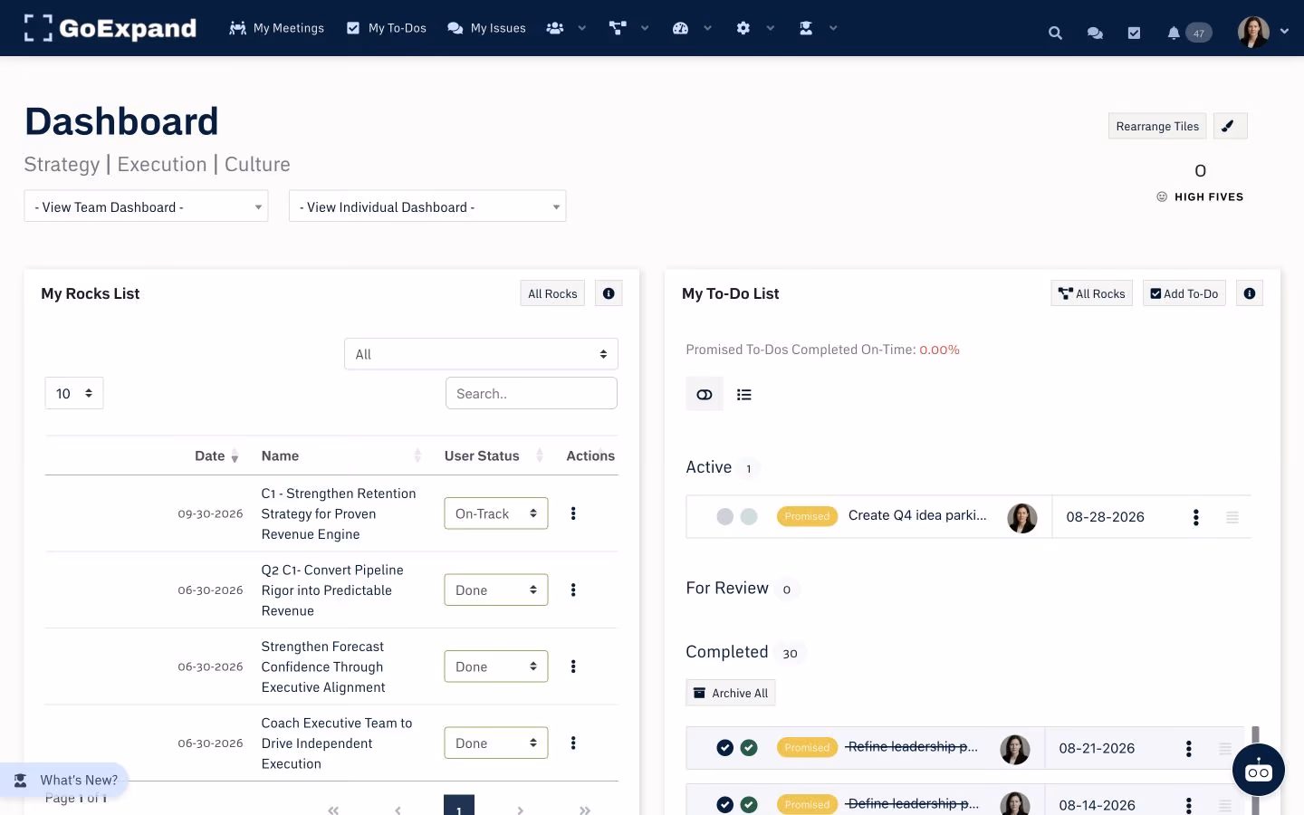 GoExpand dashboard showing Rocks and To-Dos